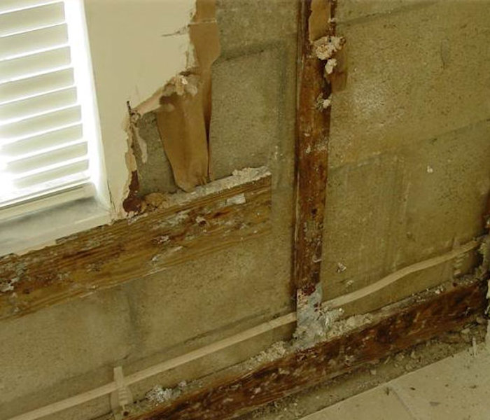 LCM Engineering, PLLC, Waterproof and Leak Repair.